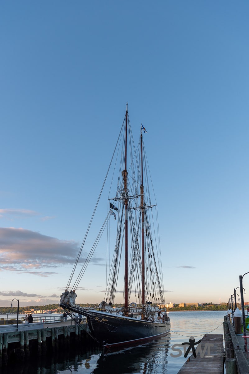DSC_1843