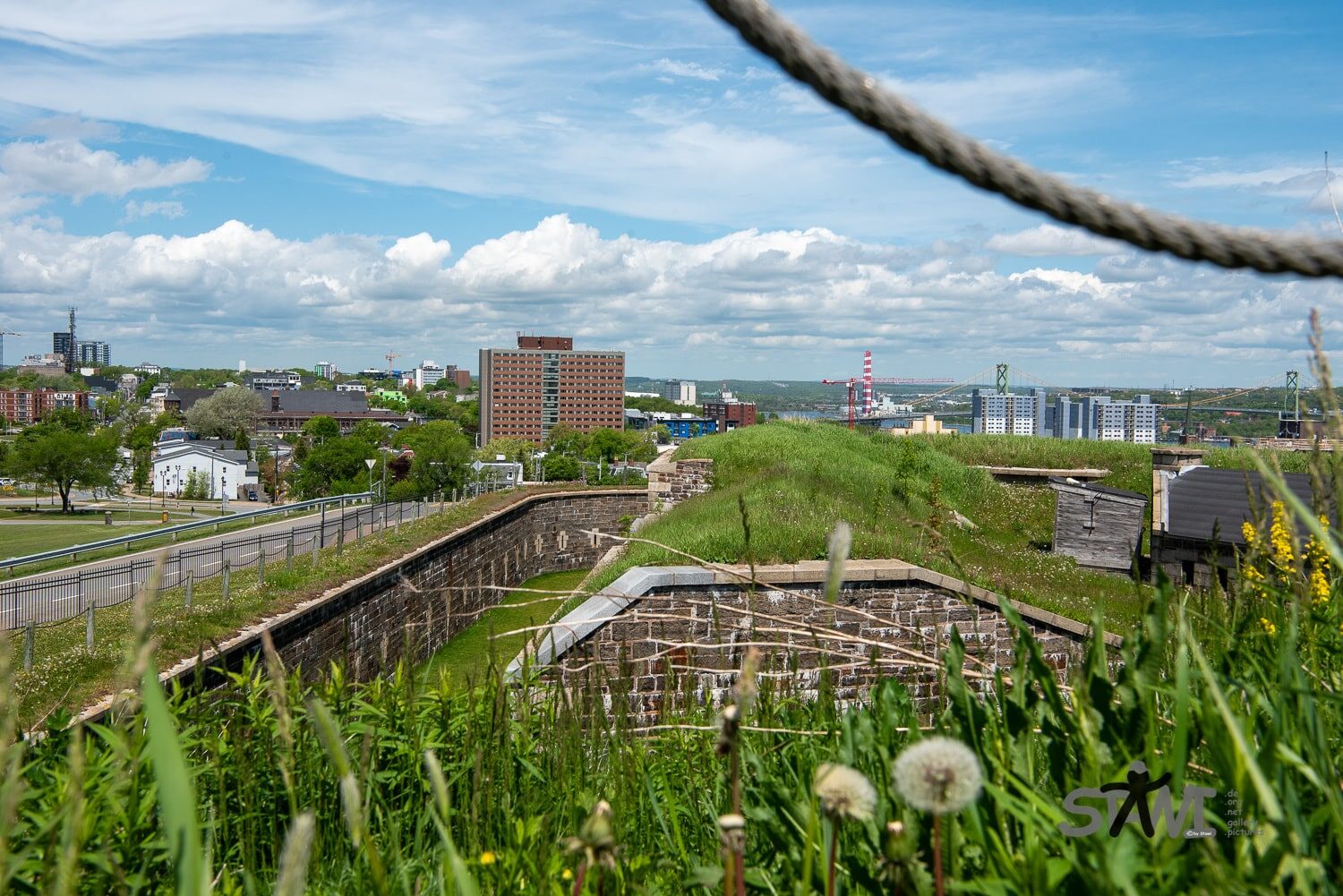 DSC_1899