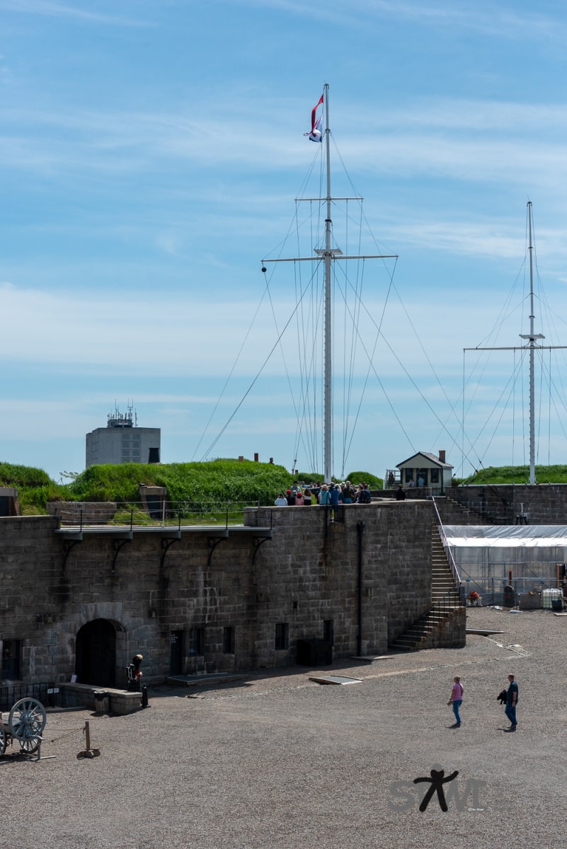 DSC_1920