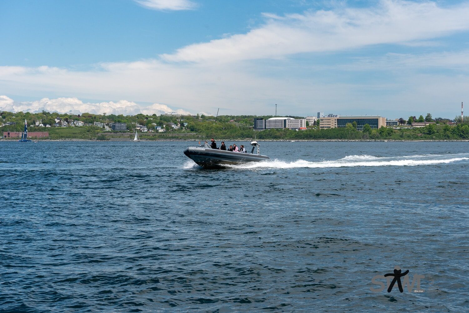 DSC_1974