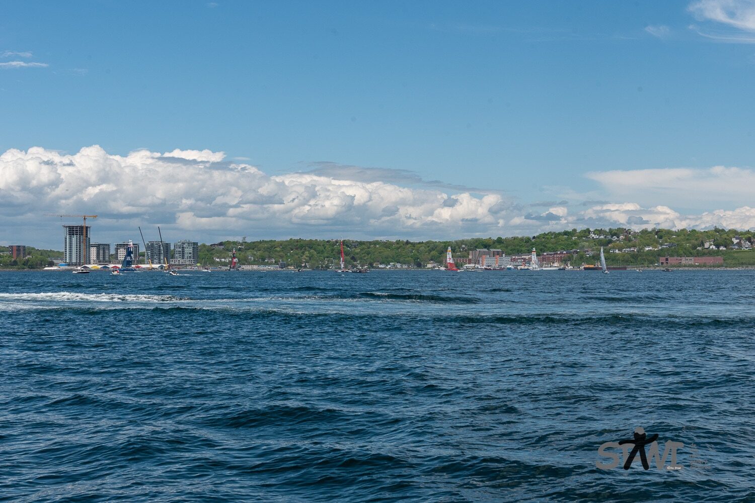 DSC_1982