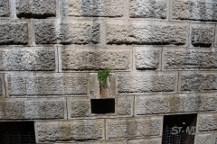DSC_1905 DSC_1905