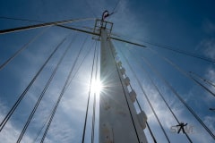 DSC_1931 DSC_1931