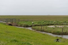 DSC_2891