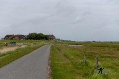 DSC_2892