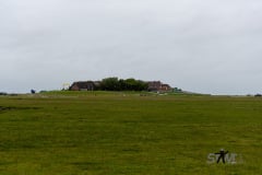 DSC_2902