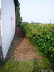 p1150106